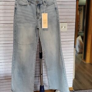 Stylish Light Blue Flare Jeans